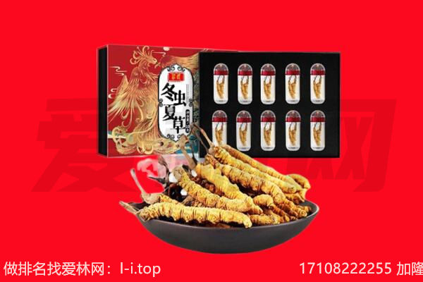 承德市围场回收虫草.jpg